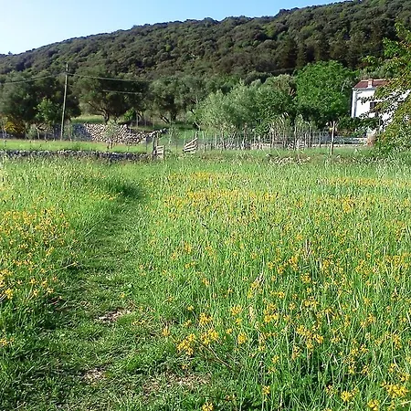 Casa vacanze Viskic Supetarska Draga