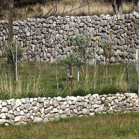 Viskic Supetarska Draga