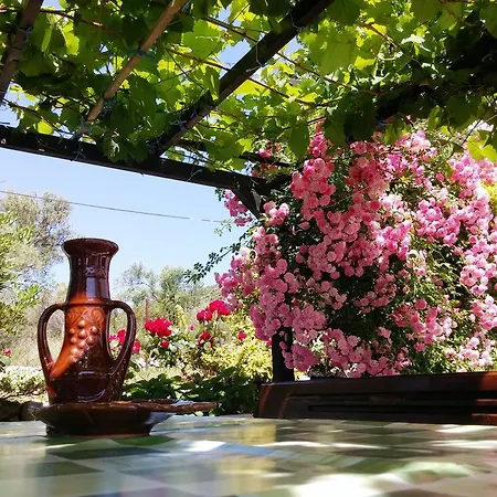 Country House Viskic