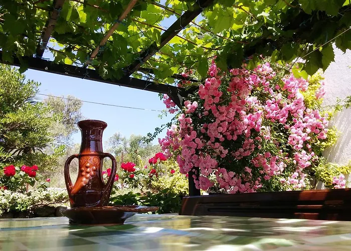Country House Viskic