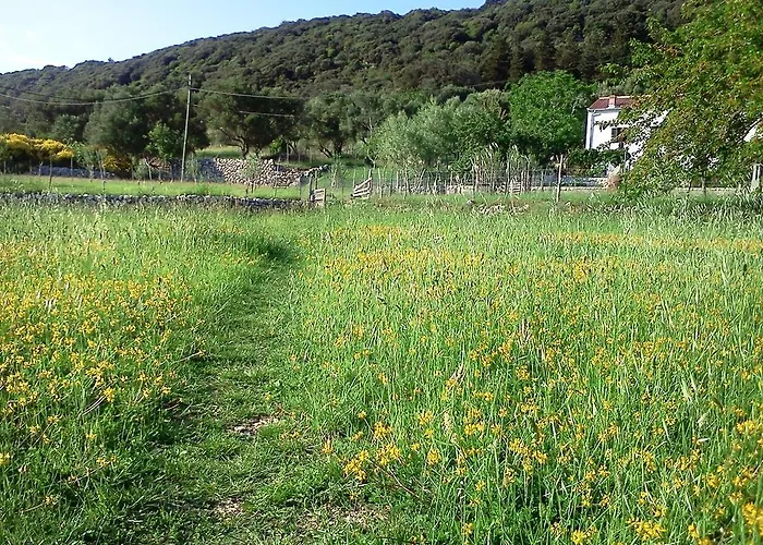 Vikendica Country House Viskic Supetarska Draga
