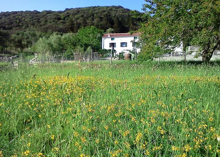 Country House Viskic *